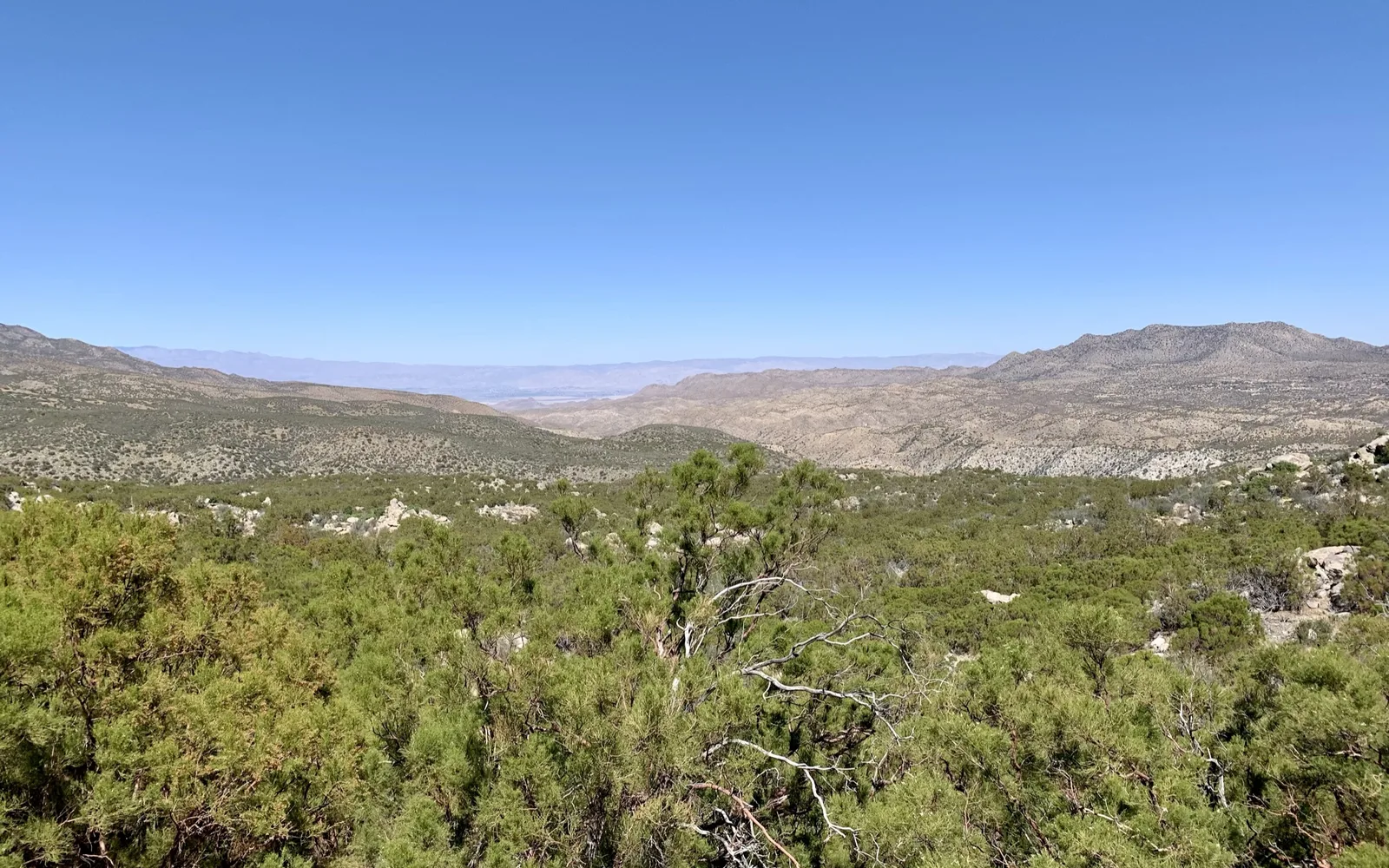 Scenic overlook view in San Bernardino National Forest, California